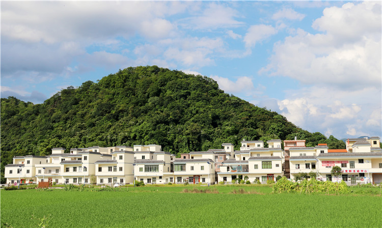 沙園村全村面貌煥然一新。（清遠日報特約通訊員張麗思 攝）.jpg