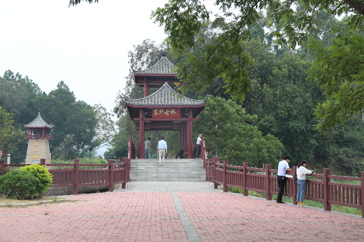 太平鎮(zhèn)面貌向美而行，群眾生活越來越舒適了。清遠(yuǎn)日報訊 特約通訊員張麗思 攝.JPG