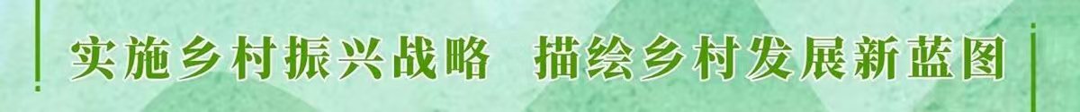 2021年網(wǎng)民網(wǎng)絡(luò)安全滿(mǎn)意度調(diào)查